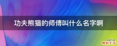 功夫熊猫的师傅叫什么名字啊