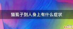 猫虱子到人身上有什么症状