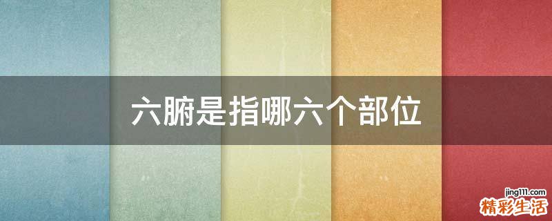 六腑是指哪六个部位