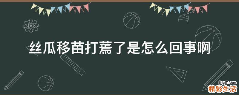 丝瓜移苗打蔫了是怎么回事啊