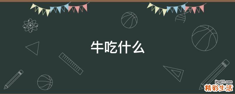 牛吃什么