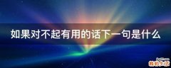 如果对不起有用的话下一句是什么