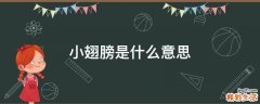 小翅膀是什么意思
