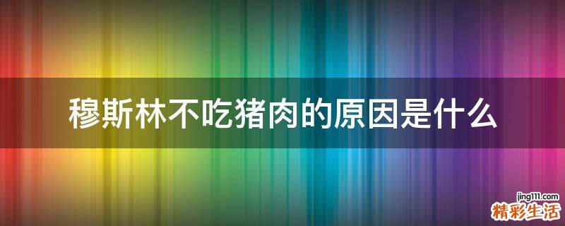 穆斯林不吃猪肉的原因是什么