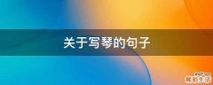 关于写琴的句子