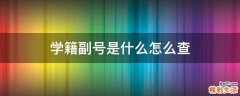学籍副号是什么怎么查