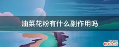 油菜花粉有什么副作用吗