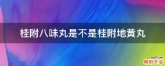 桂附八味丸是不是桂附地黄丸