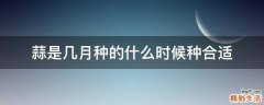 蒜是几月种的什么时候种合适
