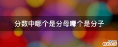 分数中哪个是分母哪个是分子