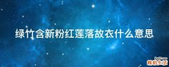 绿竹含新粉红莲落故衣什么意思