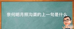 奈何明月照沟渠的上一句是什么
