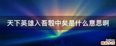 天下英雄入吾彀中矣是什么意思啊