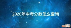 2020年中考分数怎么查询