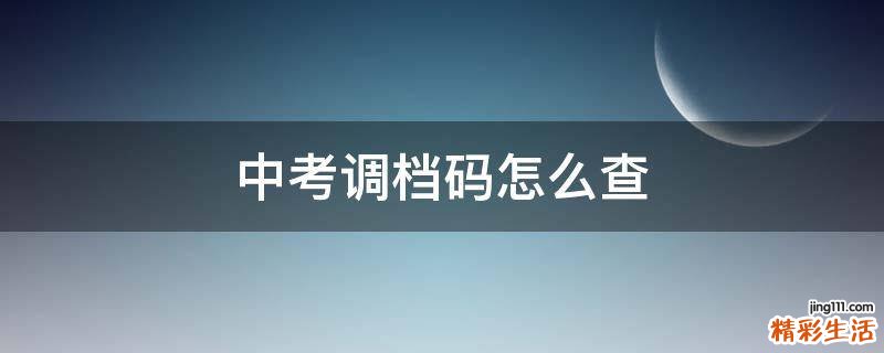 中考调档码怎么查