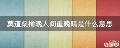 莫道桑榆晚人间重晚晴是什么意思