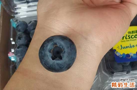 蓝莓皮上的白霜是花青素吗 蓝莓皮上的白霜是酵母菌吗