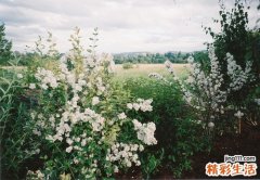 精神状态萎靡原因