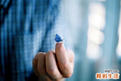 5 武当纯阳十八养生掌