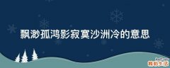 飘渺孤鸿影寂寞沙洲冷的意思