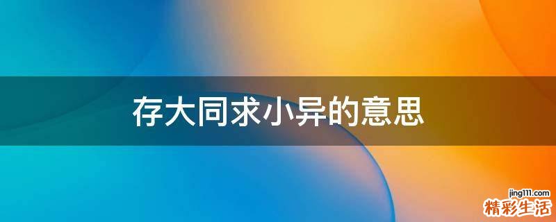 存大同求小异的意思