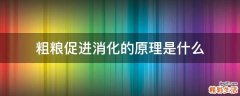 粗粮促进消化的原理是什么