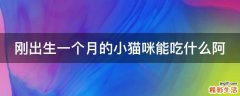 刚出生一个月的小猫咪能吃什么阿