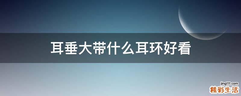 耳垂大带什么耳环好看