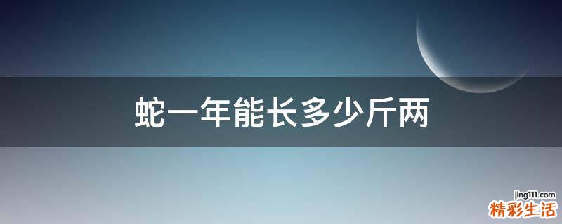 蛇一年能长多少斤两
