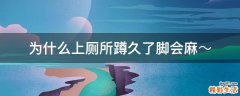 为什么上厕所蹲久了脚会麻～