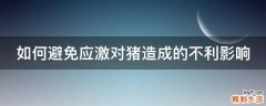 如何避免应激对猪造成的不利影响