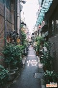 怀孕初期吃什么好