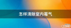 怎样清除室内霉气