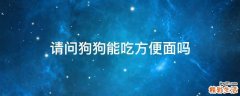 请问狗狗能吃方便面吗