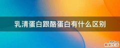 乳清蛋白跟酪蛋白有什么区别