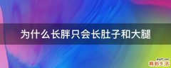 为什么长胖只会长肚子和大腿