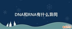 DNA和RNA有什么异同