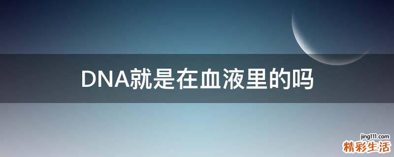 DNA就是在血液里的吗
