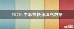 EXCEL中怎样快速填充数据