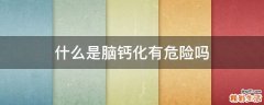 什么是脑钙化有危险吗
