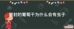 密封的葡萄干为什么会有虫子