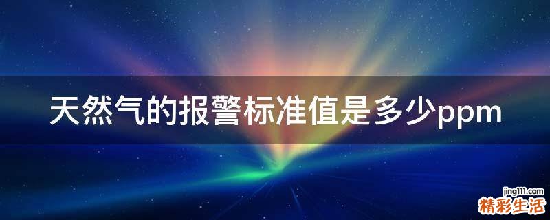 天然气的报警标准值是多少ppm