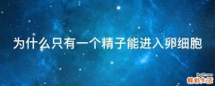 为什么只有一个精子能进入卵细胞