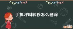 手机呼叫转移怎么删除