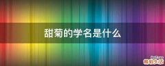 甜菊的学名是什么