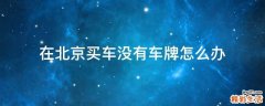 在北京买车没有车牌怎么办
