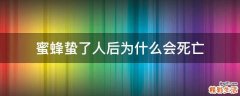 蜜蜂蛰了人后为什么会死亡