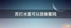 苏打水里可以放蜂蜜吗