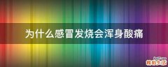 为什么感冒发烧会浑身酸痛