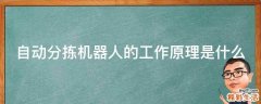 自动分拣机器人的工作原理是什么